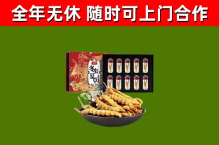墨玉县回收冬虫夏草价格