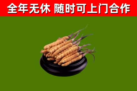墨玉县烟酒回收冬虫夏草.jpg